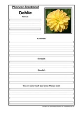 Pflanzensteckbrief-Dahlie.pdf